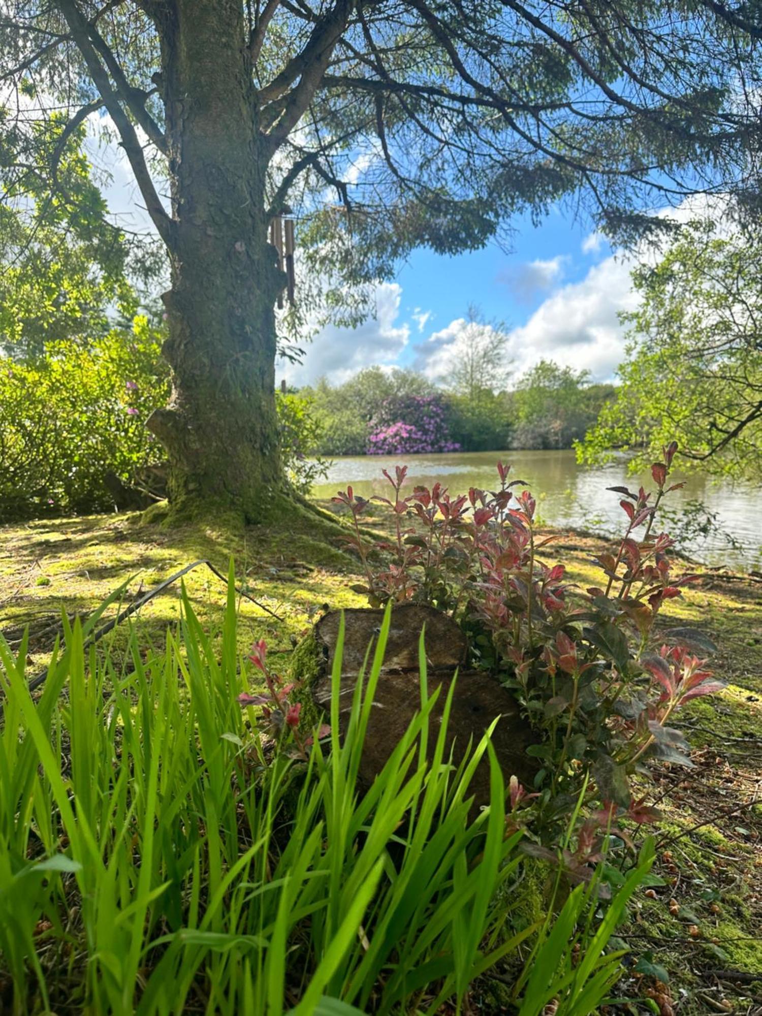 Lakeside Glamping Firecrest St Columb Major Exterior foto